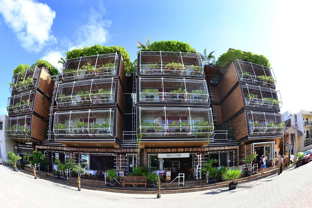 Hotel Kavia 5Th Avenida (Adults Only) Playa del Carmen