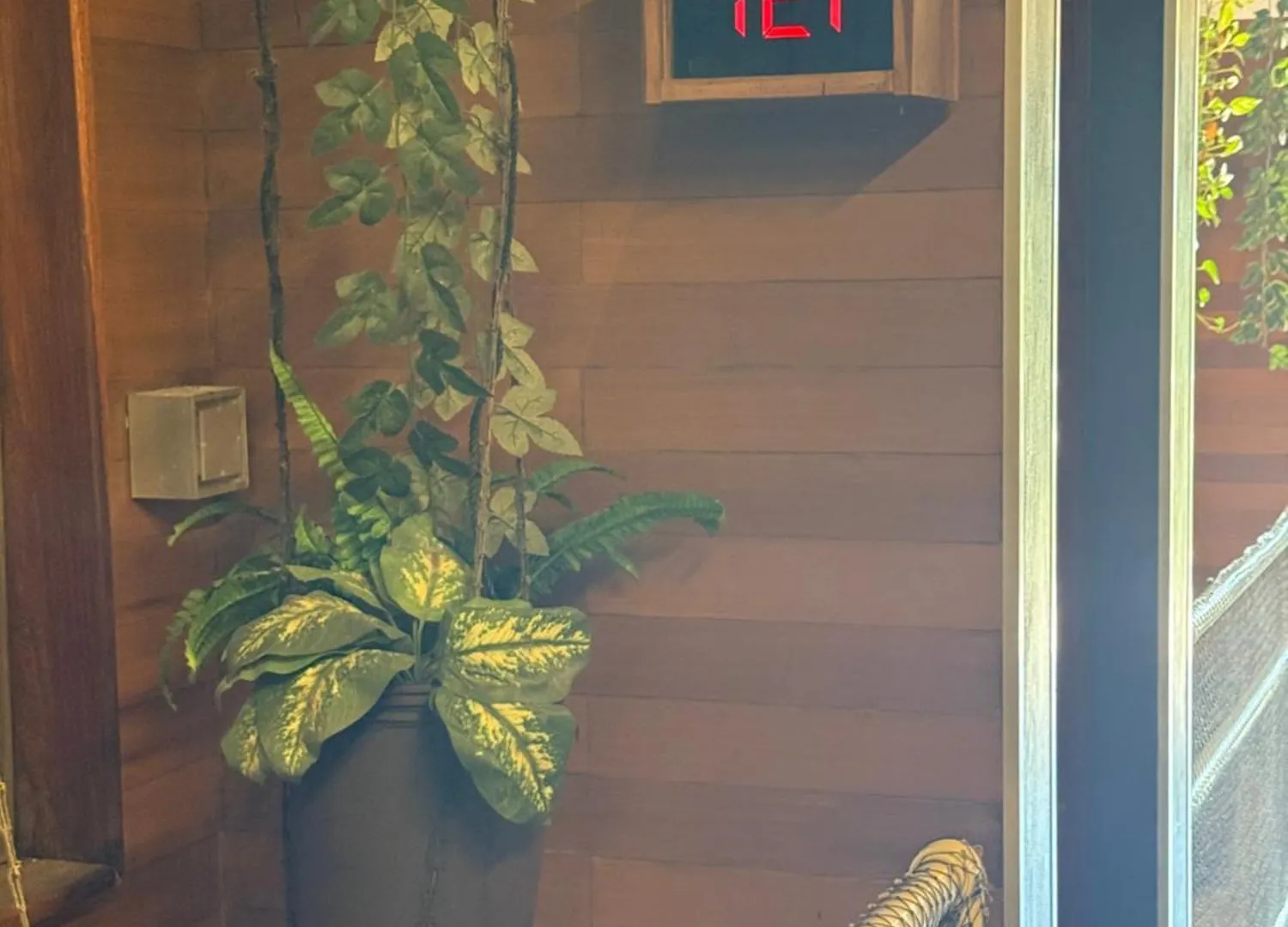 Hotel Kavia 5Th Avenida (Adults Only) Плая-дель-Кармен Мексика