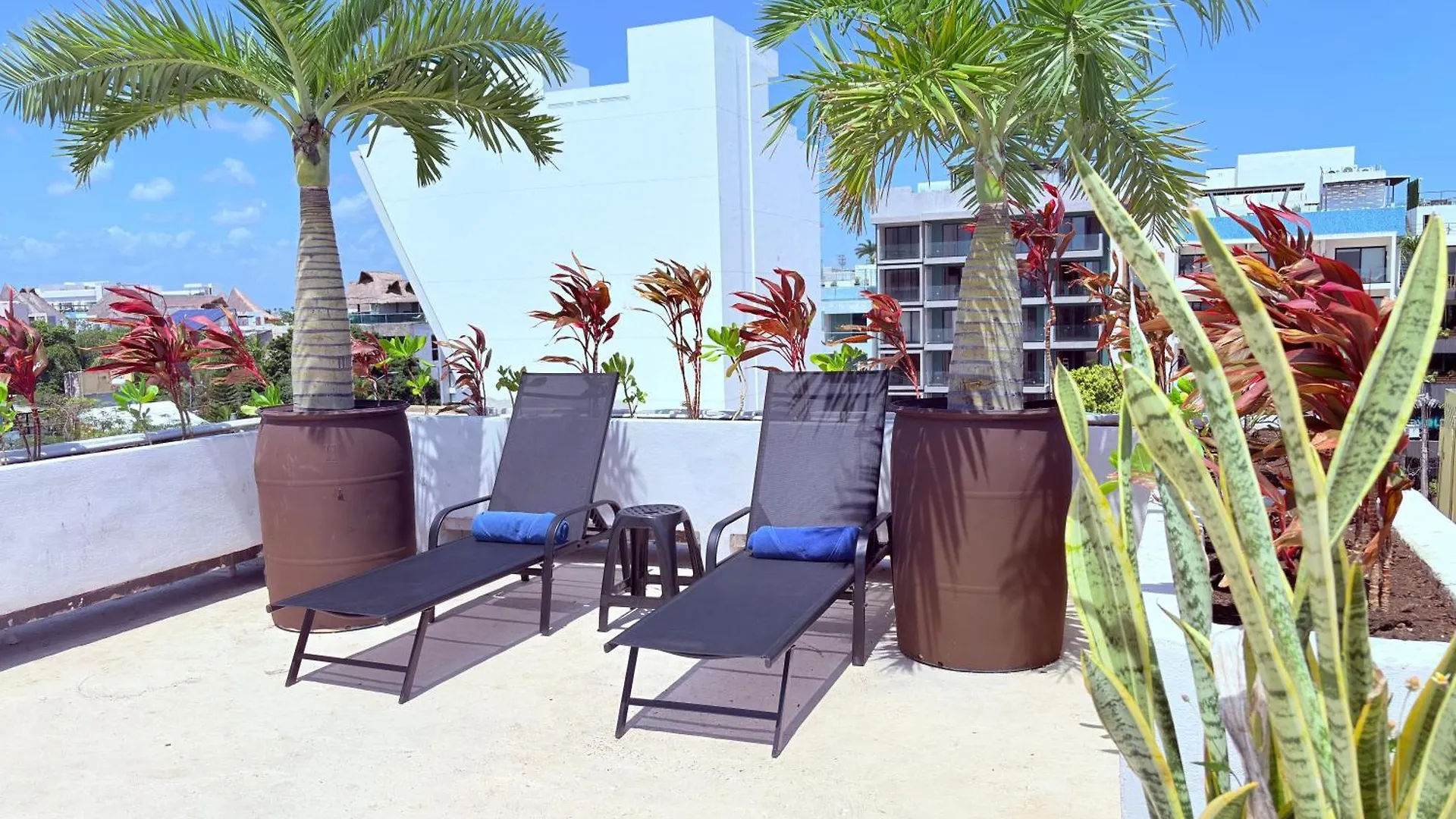 Hotel Kavia 5Th Avenida (Adults Only) Плая-дель-Кармен